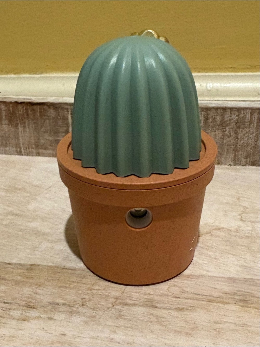 Cactus Diffuser - Picture 2 of 3